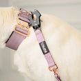 Load image into Gallery viewer, 2" Tacti Luxe Dog Collar - Rose Gold - Sofia