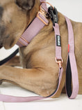 Load image into Gallery viewer, 2" Tacti Luxe Dog Collar - Rose Gold - Sofia