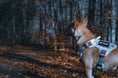 Load image into Gallery viewer, HNTR 3.0 Dog Harness - Honeydew