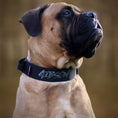 Load image into Gallery viewer, 2" Tactik Dog Collar - Black