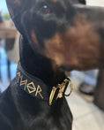 Load image into Gallery viewer, 2" Tacti Luxe Dog Collar - Gold Noir
