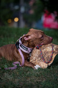 Load image into Gallery viewer, TRUEGRIP Dog Leash - Sofia