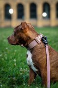 Load image into Gallery viewer, TRUEGRIP Dog Leash - Sofia