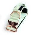 Load image into Gallery viewer, 2" Tacti Luxe Dog Collar - Rose Gold - Honeydew