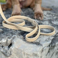 Load image into Gallery viewer, TRUEGRIP Dog Leash - Buttercream