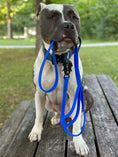 Load image into Gallery viewer, TRUEGRIP Dog Leash - Cobalt
