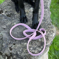 Load image into Gallery viewer, TRUEGRIP Dog Leash - Sofia