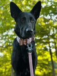 Load image into Gallery viewer, TRUEGRIP Dog Leash - Sofia
