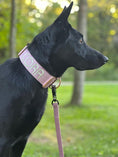 Load image into Gallery viewer, TRUEGRIP Dog Leash - Sofia
