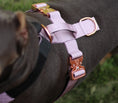 Load image into Gallery viewer, Terrain Dog Airtag Harness - Sofia