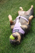 Load image into Gallery viewer, Terrain Dog Airtag Harness - Sofia