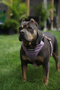 Load image into Gallery viewer, Terrain Dog Airtag Harness - Sofia