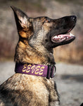 Load image into Gallery viewer, 2" Tactik Dog Collar - Grape