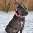 Load image into Gallery viewer, 2" Tactik Dog Collar - Bubblegum
