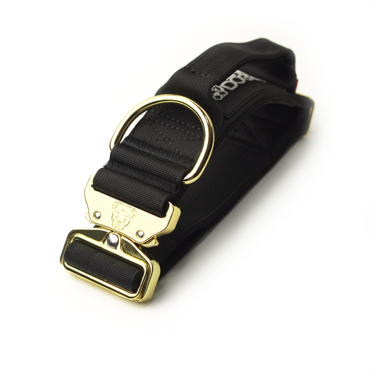 2" Tacti Luxe Dog Collar - Gold Noir