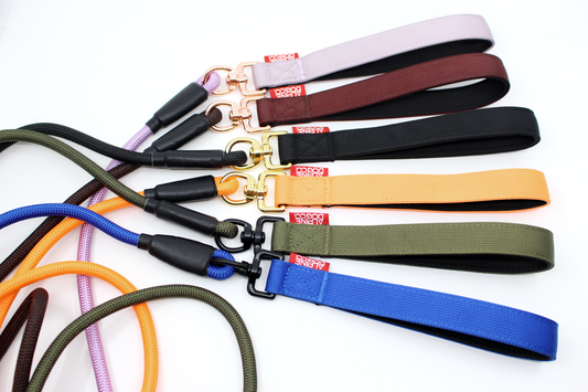 Dog Slip Lead - Chocolate