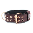 Load image into Gallery viewer, Expedition Dog Collar - Chocolate