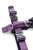 Load image into Gallery viewer, Terrain Dog Airtag Harness - Grape
