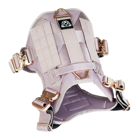 HNTR 3.0 Dog Harness - Sofia