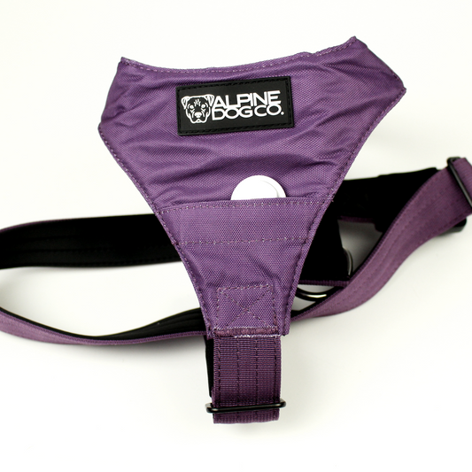 Terrain Dog Airtag Harness - Grape