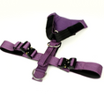 Load image into Gallery viewer, Terrain Dog Airtag Harness - Grape