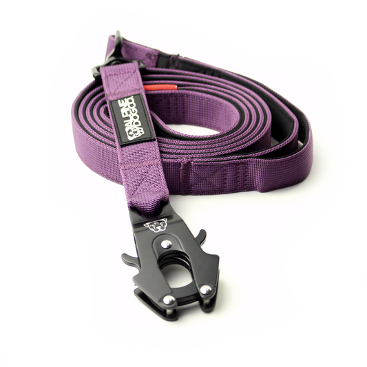 Tacti Dog Leash - Grape