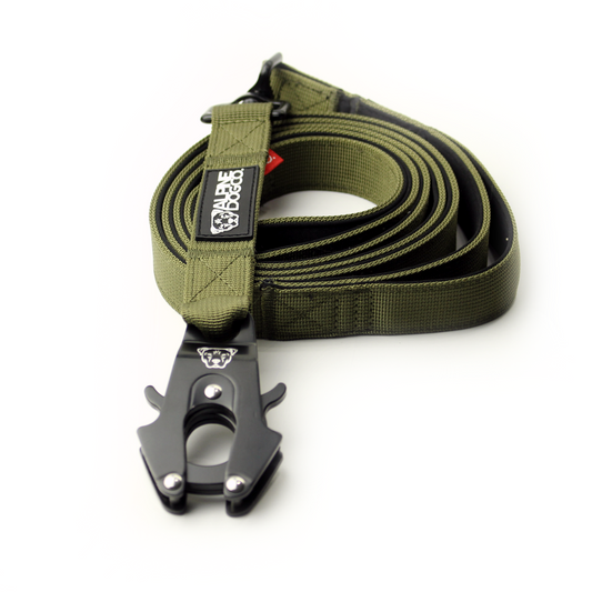 Tacti Dog Leash - Olive