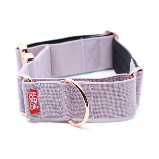 2" Luxe Martingale Dog Collar - Sofia