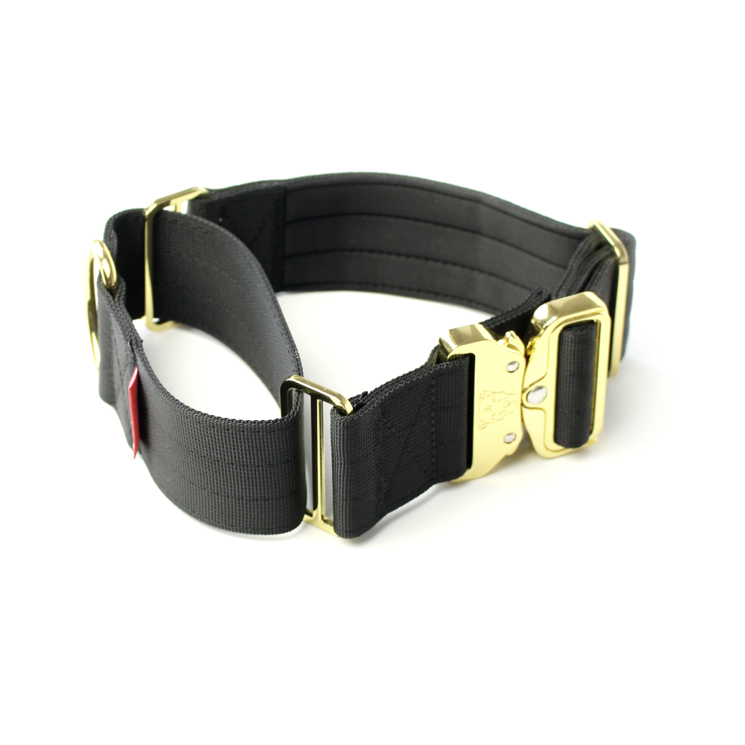 2" Luxe Martingale Dog Collar - Gold Noir