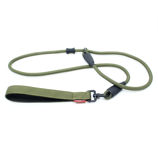 Dog Slip Lead - Olive