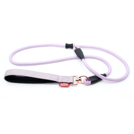 Dog Slip Lead - Sofia
