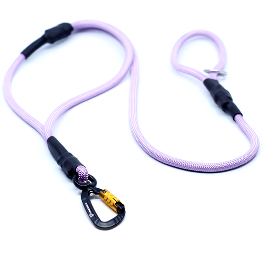 Trainer Dog Leash - Sofia