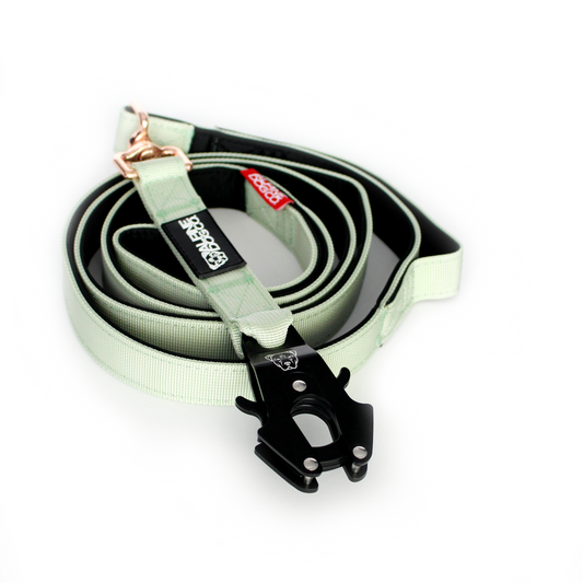 Tacti Luxe Dog Leash - Honeydew